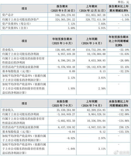 聯迪信息2025年第三季度凈虧損316.48萬元，內銷收入下滑拖累業績
