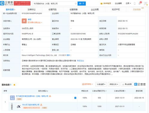 科大訊飛落子大理，智能科技公司聚焦信息系統集成服務